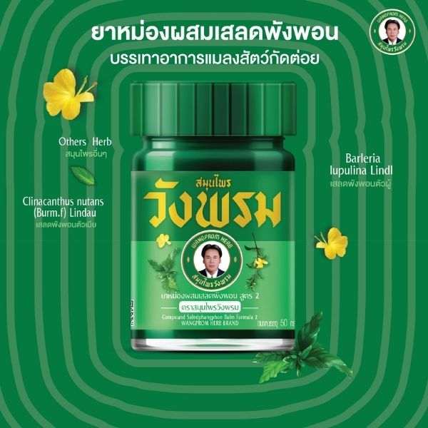 Clinacanthus balm 50g (1 dozen)